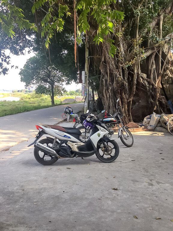 Two motorbikes parked in front of trees in Tam Coc vietnam