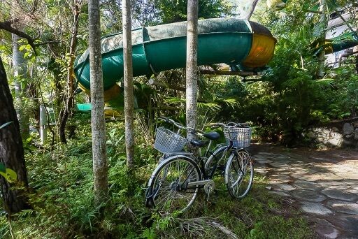 our bikes locked around a tree in front of a spiral green water slide