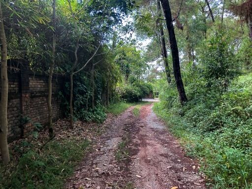 dirt road leading to another road with access to entrance abandoned water park hue