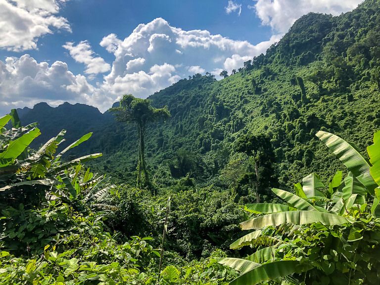 Deep green jungle clad hills in Phong Nha, Vietnam