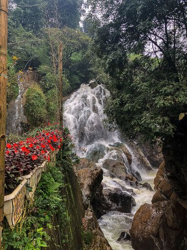 Flowers and waterfall in cat cat village on a sapa itinerary
