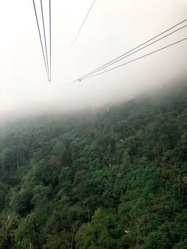 Cable car lines over dense green trees disappearing into thick clouds