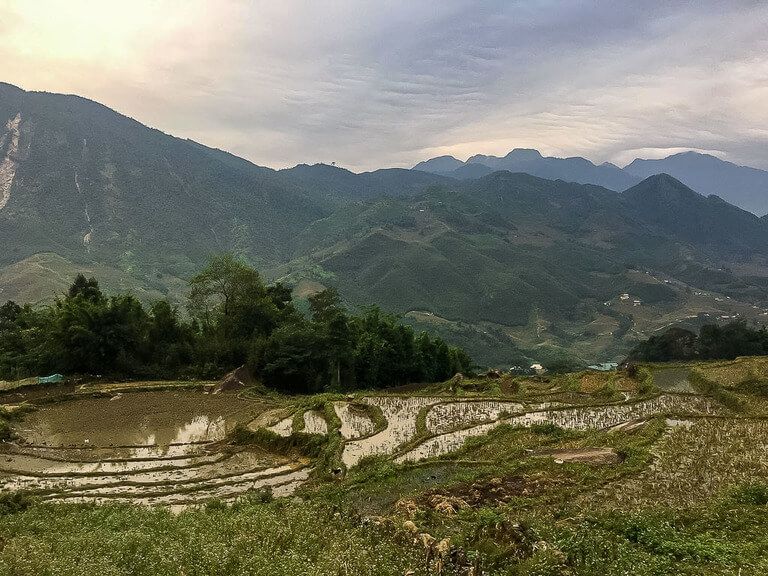 rice paddies in October during a sapa 3 day itinerary in northern Vietnam