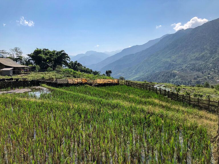 sun shining on green valley trekking sapa vietnam