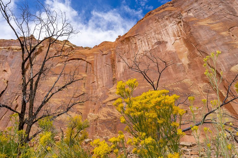 Capitol Reef Photography: Utah's Mighty 5 Surprise Package