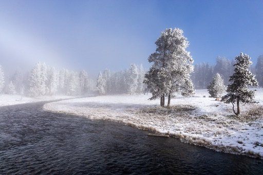 Frozen trees along riverbank in snow Yellowstone national park 4 days itinerary