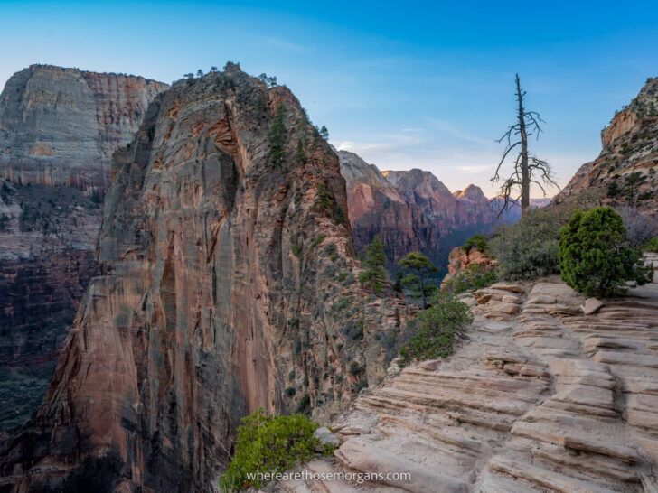 Amazing Hike To Angels Landing In Zion National Park