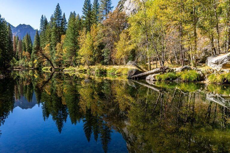 Stunning colorful fall foliage trees reflecting in Merced river in Yosemite National Park gorgeous photography opportunity