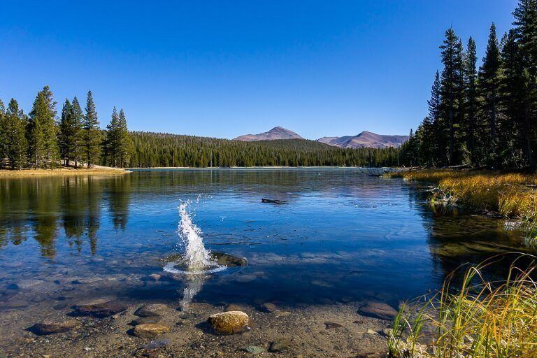 Yosemite Photography: Best Locations, Iconic Landmarks and Epic Vistas