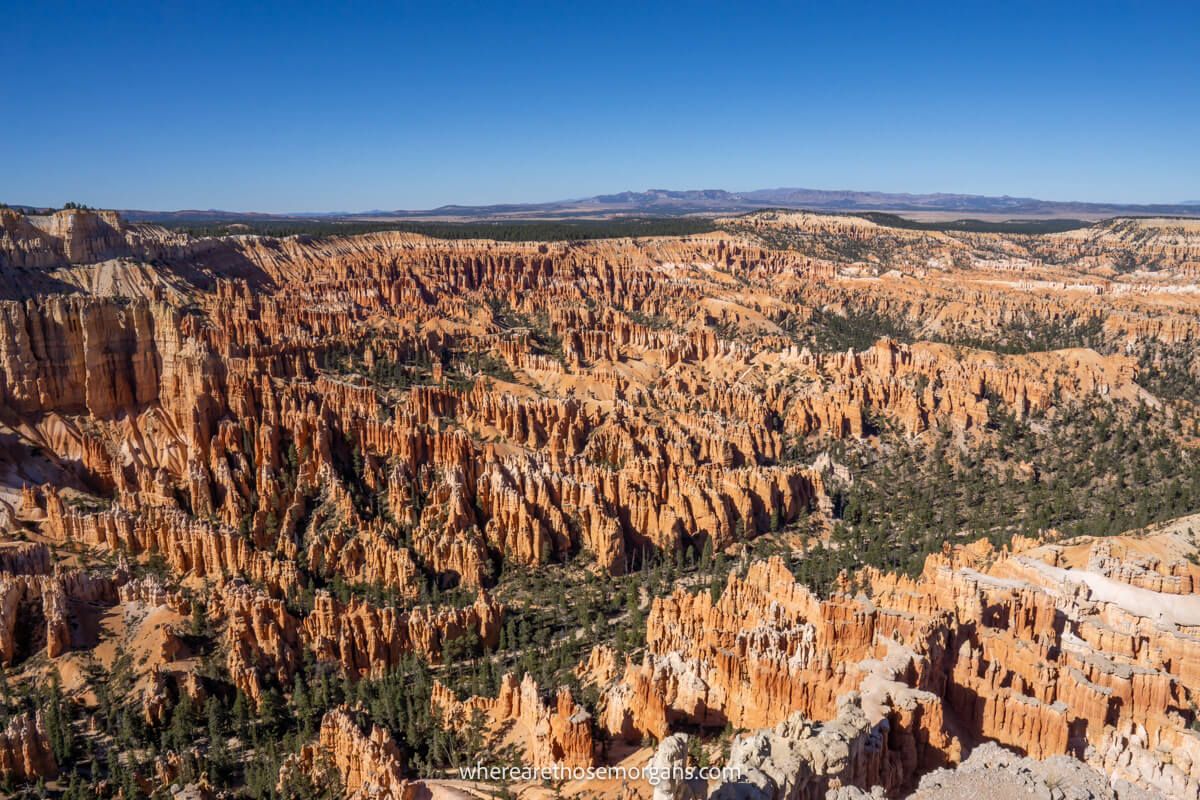 View looking into a wide open sandstone landscape with hoodoos and jagged rocks on a clear day in Utah