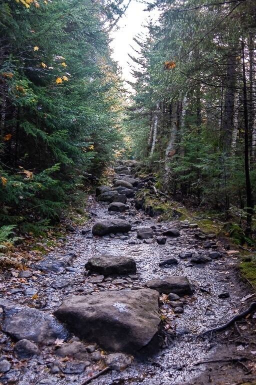 Long slow gradual climb on narrow rocky hiking trail through forest to mount marcy summit 