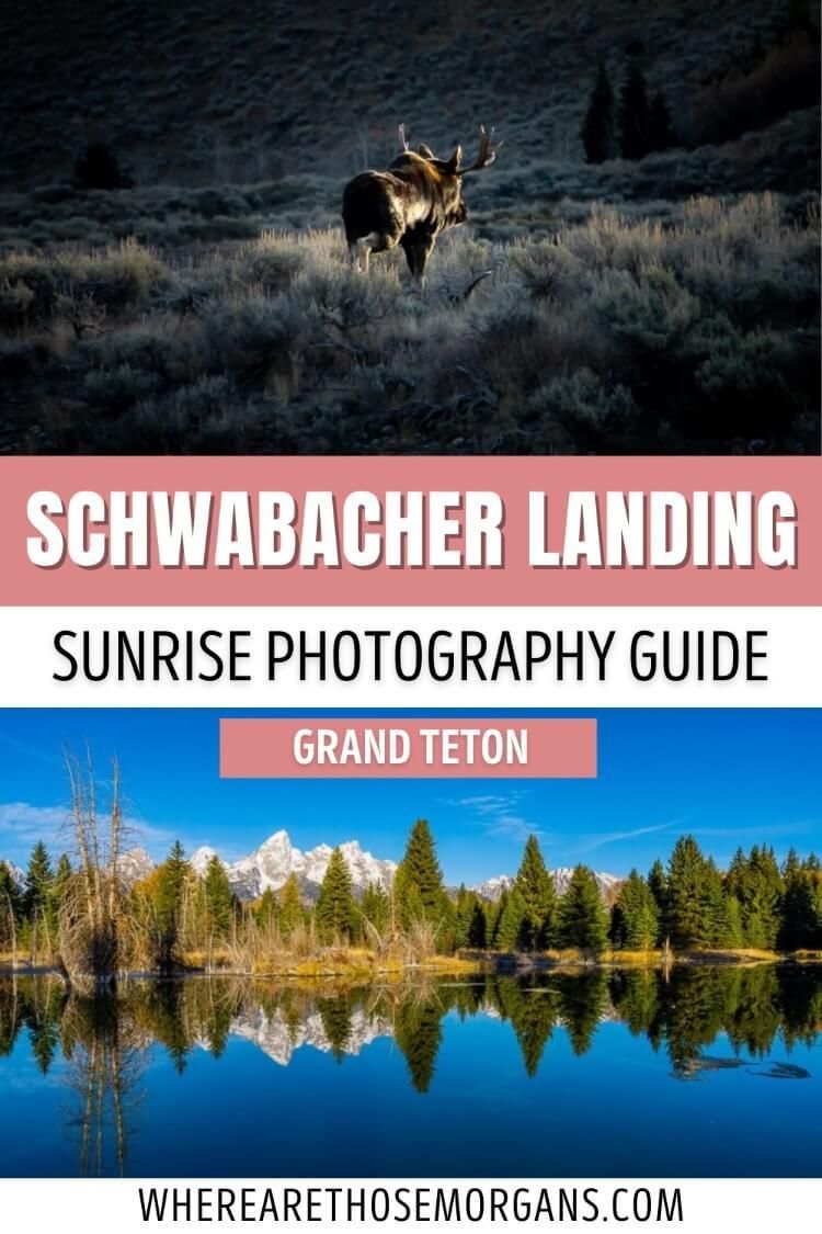 Schwabacher Landing Sunrise Photography Guide Grand Teton