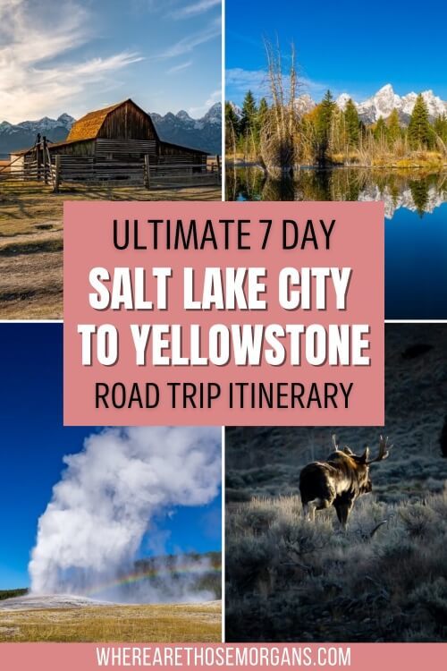 road trip from tennessee to yellowstone