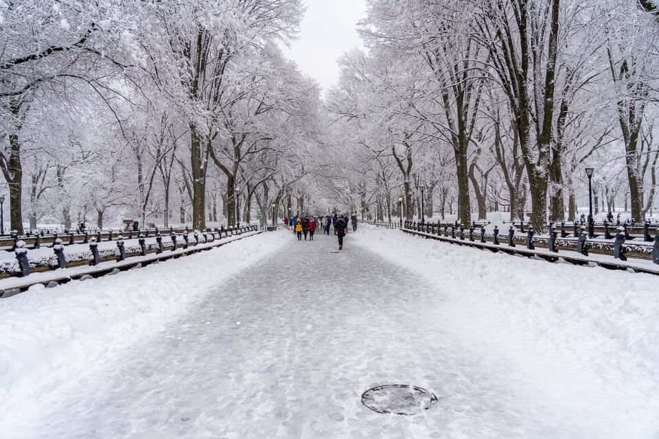 Central Park in Winter the Mall beautiful scenery best hotels near central park neighborhood