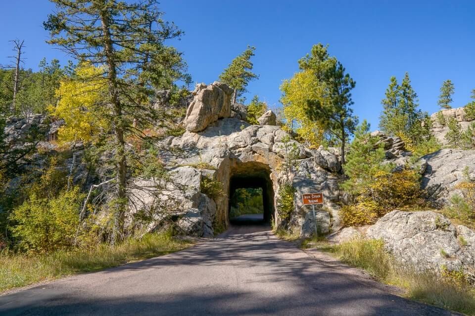 Narrow tunnel leading through granite rock with trees growing on top and a blue sky above needles highway scenic drive