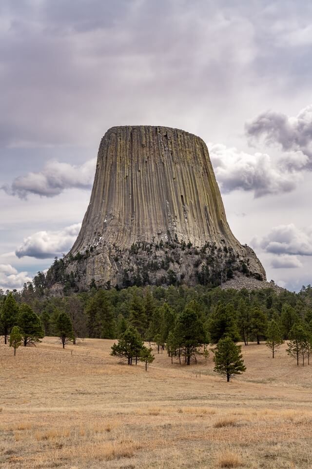 Devils Tower National Monument Wyoming bursting into the air with forest and grassland foreground