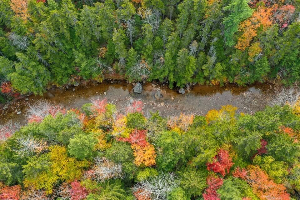 Swift river surrounded by trees drone image birds eye view