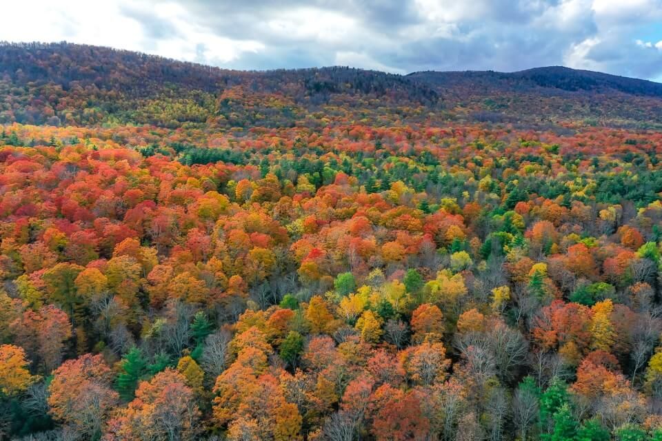 Gorgeous fall colors in autumn in the green mountain best things to do in manchester vt explore countryside