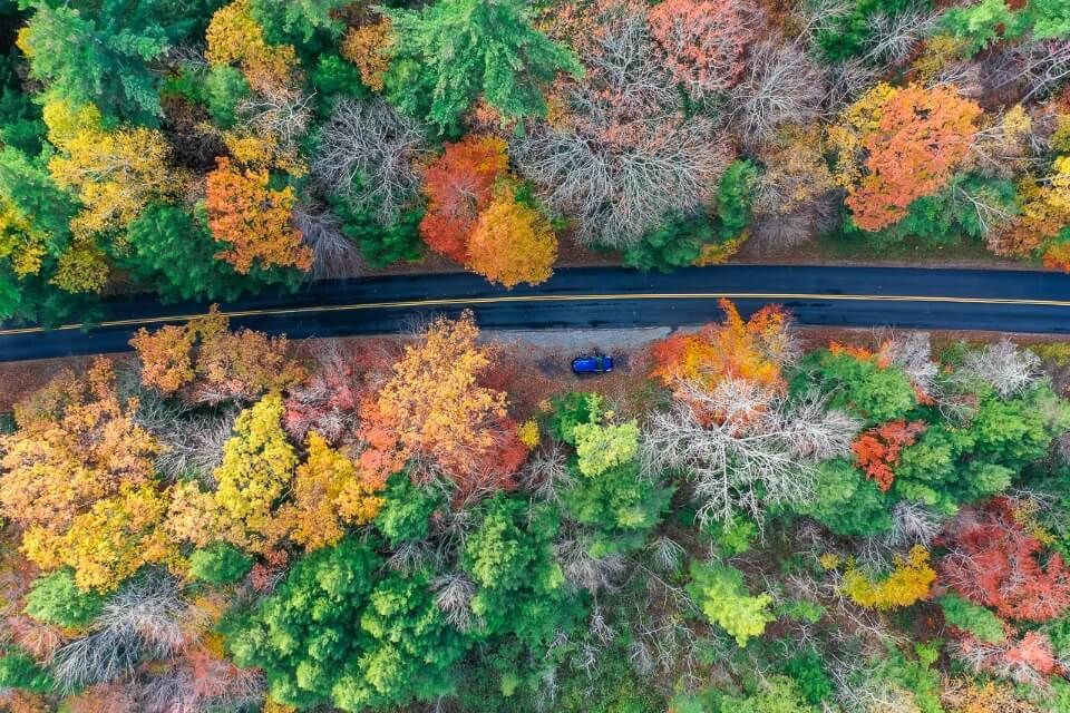 Drone shot of a road near manchester vt in fall from above with stunning colors