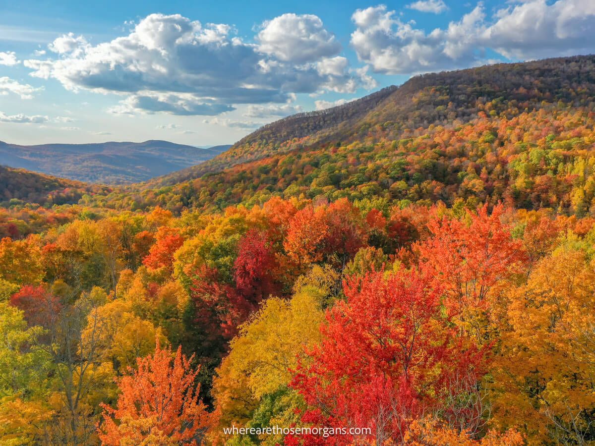 Stunning fall foliage as seen from a drone in the Green Mountains near Manchester, Vermont