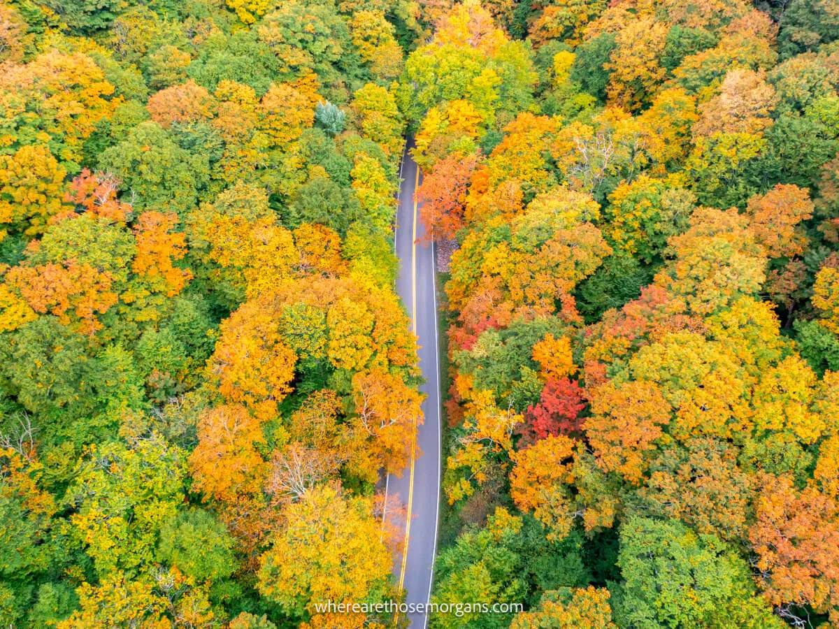 Drone photo from above looking down on a narrow road cutting through a forest in New England with vibrant fall foliage colors in the trees including greens, yellows, oranges and reds