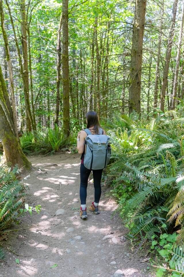 Hiking a path in a forest in washington