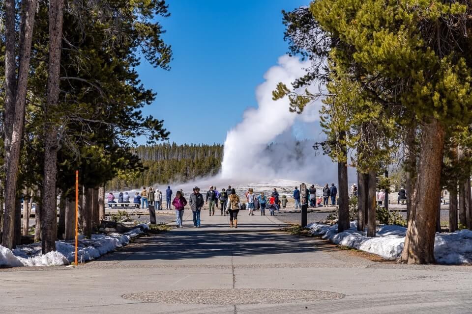 Fewer crowds at yellowstone in april mean visiting old faithful is relaxing