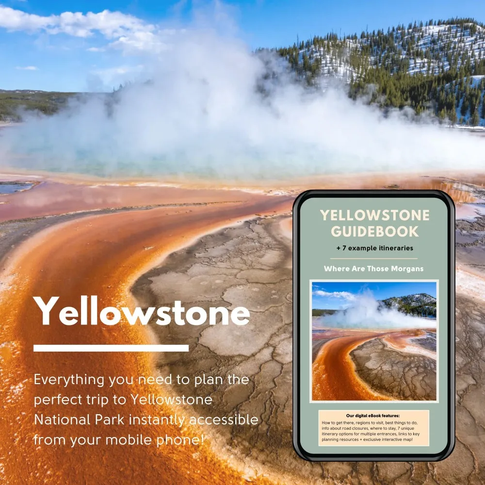 Where Are Those Morgans Yellowstone travel guidebook
