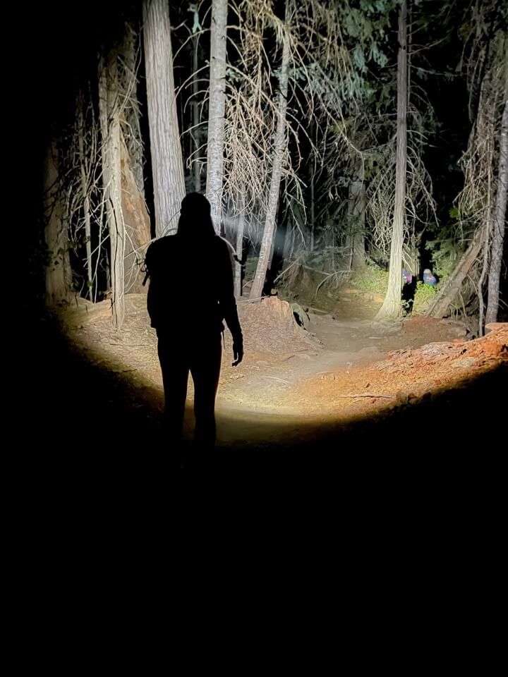 Walking through a dark forest with a head torch