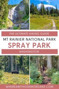 Spray Park Trail Mt Rainier: Hidden Gem Hike To Waterfall And Meadows