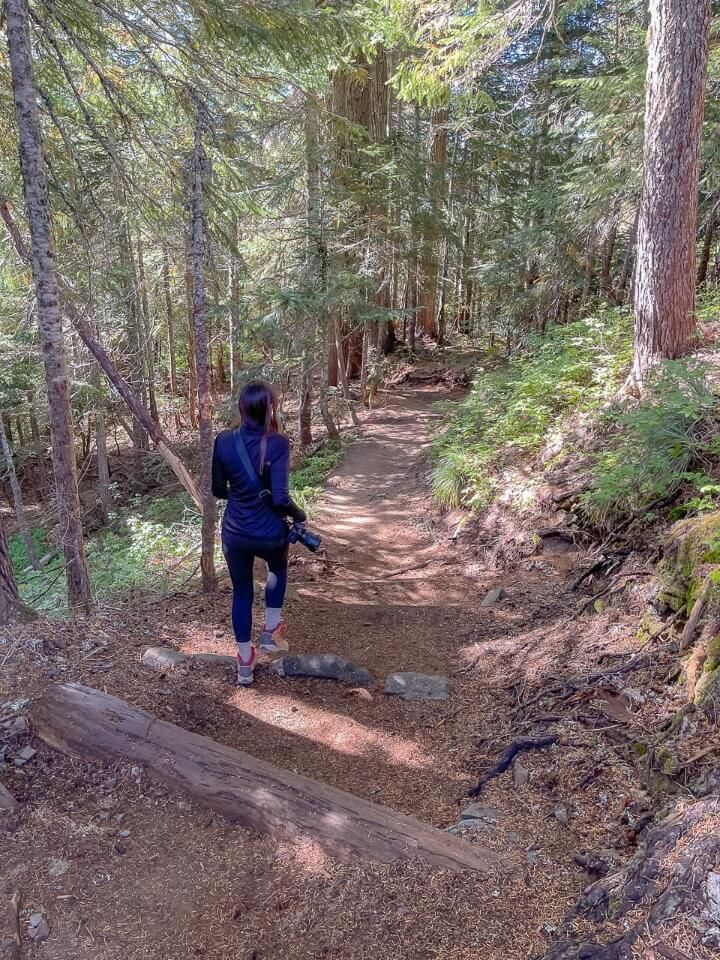 Hiking Spray Park Trail in Mt Rainier National Park forest hike