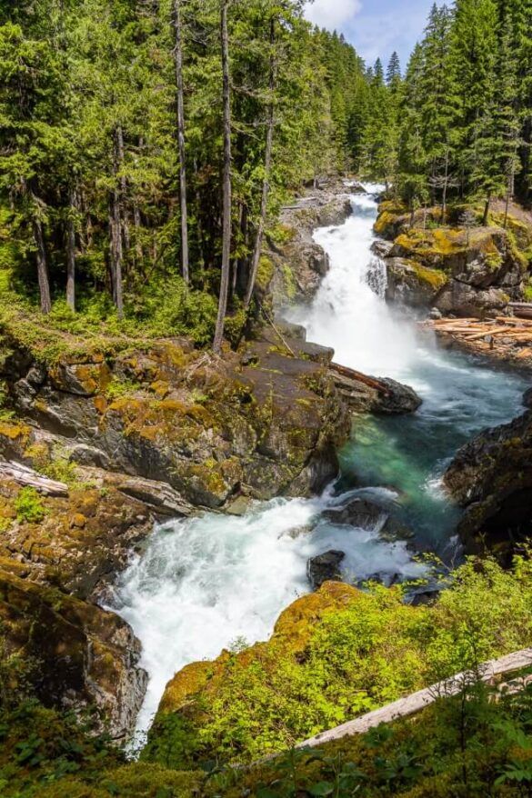 Best Hikes Mt Rainier: 23 Easy, Moderate + Hard Trails