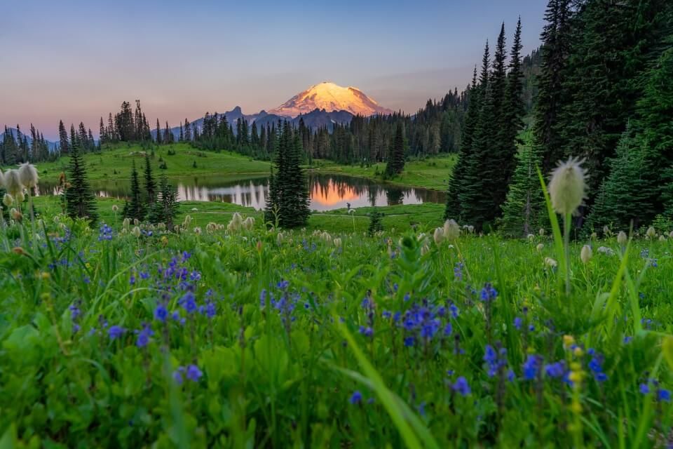 Tipsoo Lake Trail is a family friendly Mt Rainier hike with stunning meadows wildflowers and reflection in lake