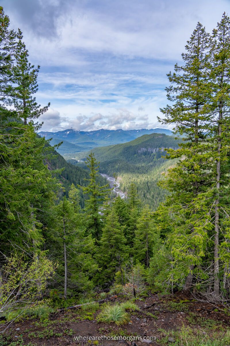 View over Longmire region of Mt Rainier national park from a hike