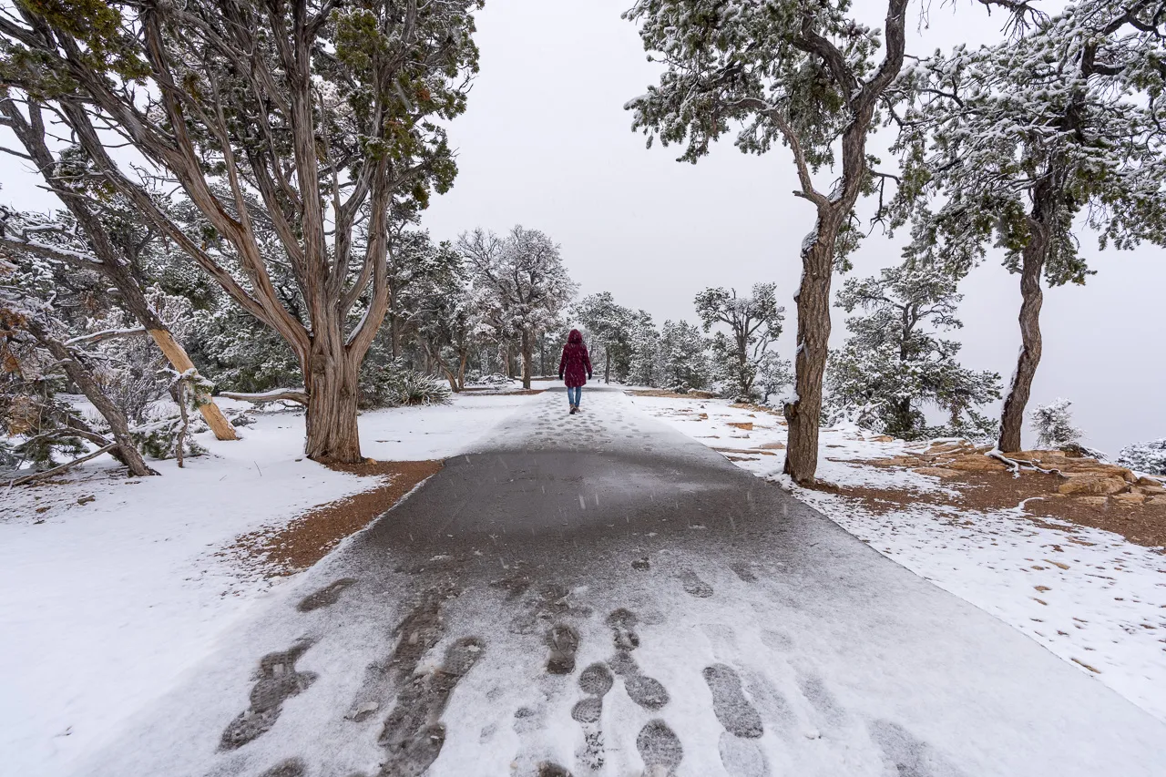 Grand Canyon in Winter Snow Fog and Cold Weather Where Are Those Morgans walking along South Rim in fog and snow december footprints left in thin layer of snow