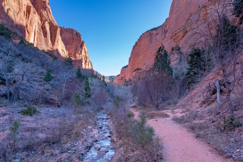 Where Are Those Morgans hiking in Zion National Park Middle Fork of Taylor Creek right after sunrise path and river in shadow on one of the best hikes in Kolob Canyon