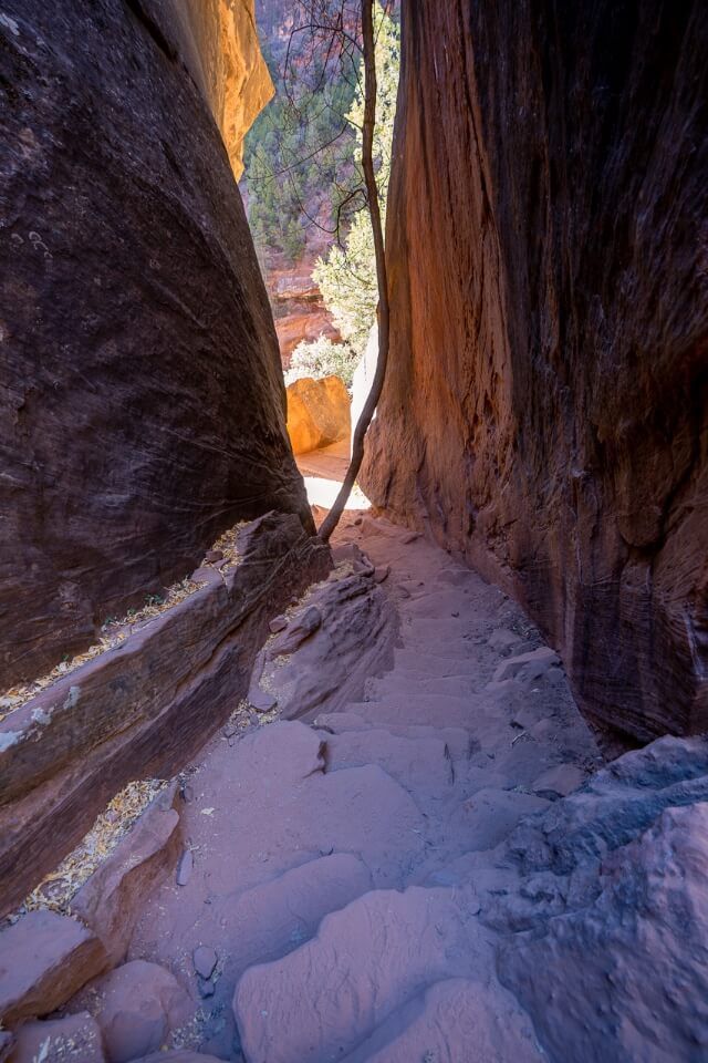 Narrow slot canyon like staircase leading down a hike in utah