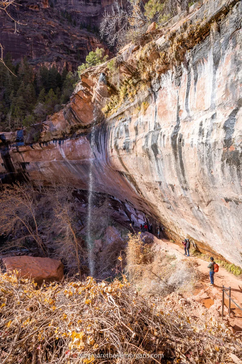 Thin waterfall falling from a rocky ledge as hikers below walk through a concave underpass