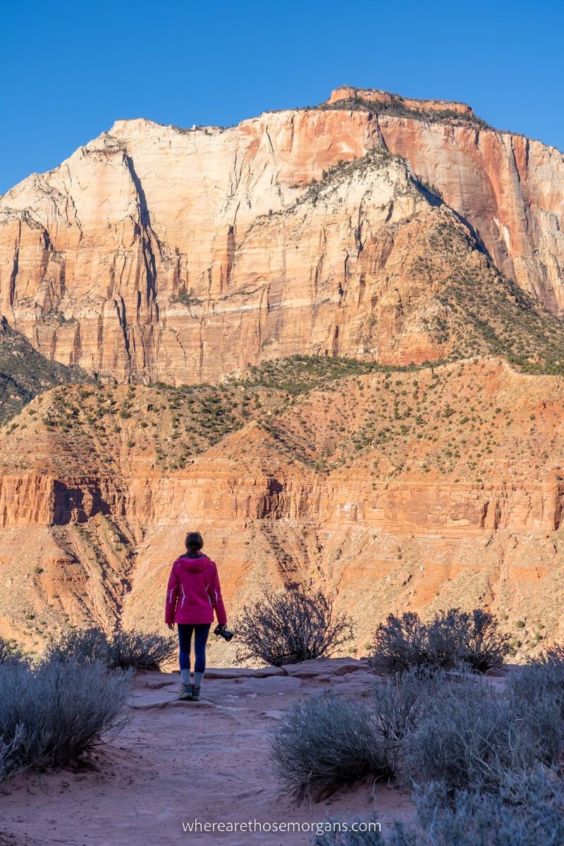 Hiker at sunrise looking at Watchman Overlook one of the best hikes in Zion national park