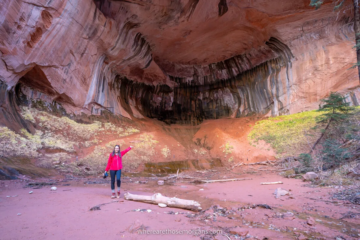 Hiker pointing into a huge alcove wall at the end of a hiking trail in Utah