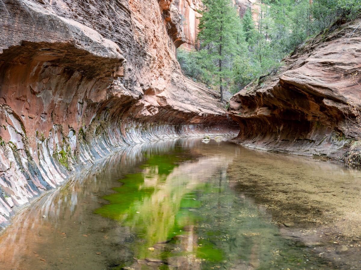 Subway tunnel at the end of West Fork Trail hike near Sedona Arizona stunning rock formation bending with shallow water and green algae