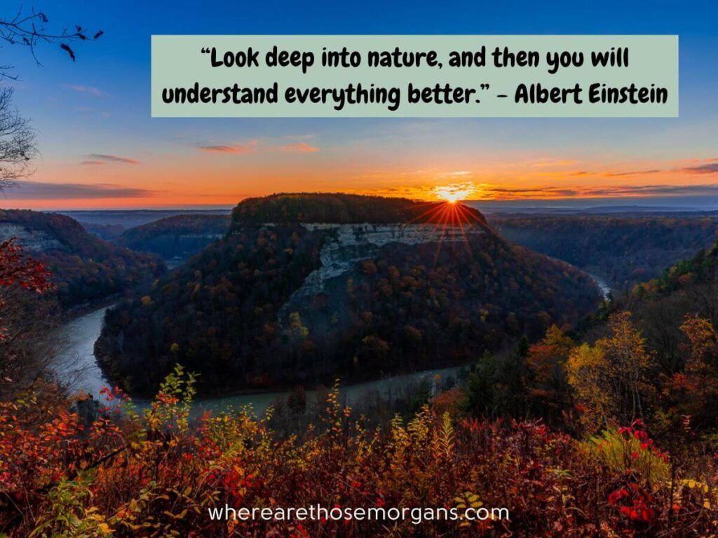 Look deep into nature and then you will understand everything better. Albert Einstein quote about photography