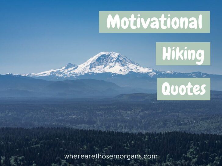 125 Best Hiking Quotes, Captions + Puns