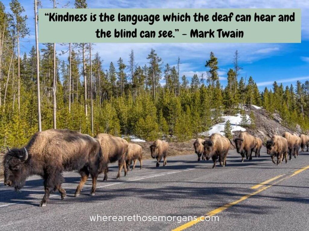 Kindness is the language which the deaf can hear and the blind can see by Mark Twain