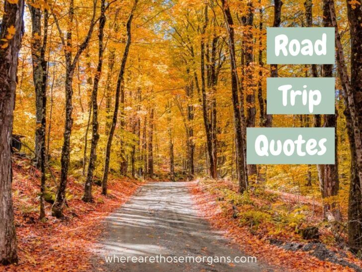 101 Inspirational Road Trip Quotes, Captions + Puns