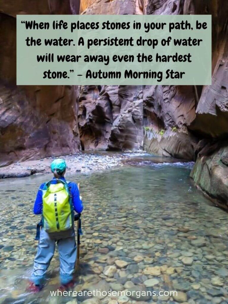 When life places stones in your path, be the water. A persistent drop of water will wear away even the hardest stone