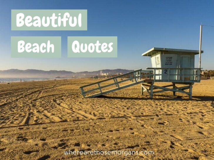 101 Beautiful Beach Quotes, Captions + Puns