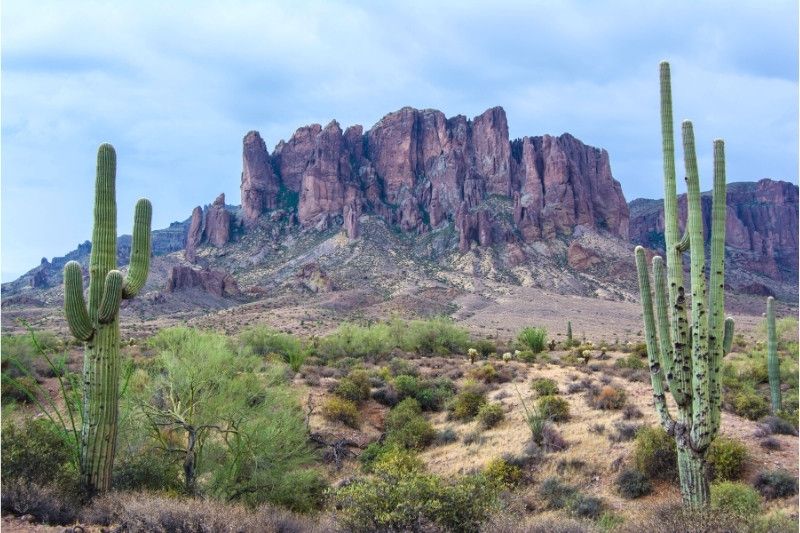 Cacti and brush in a barren landscape with towering rock formations