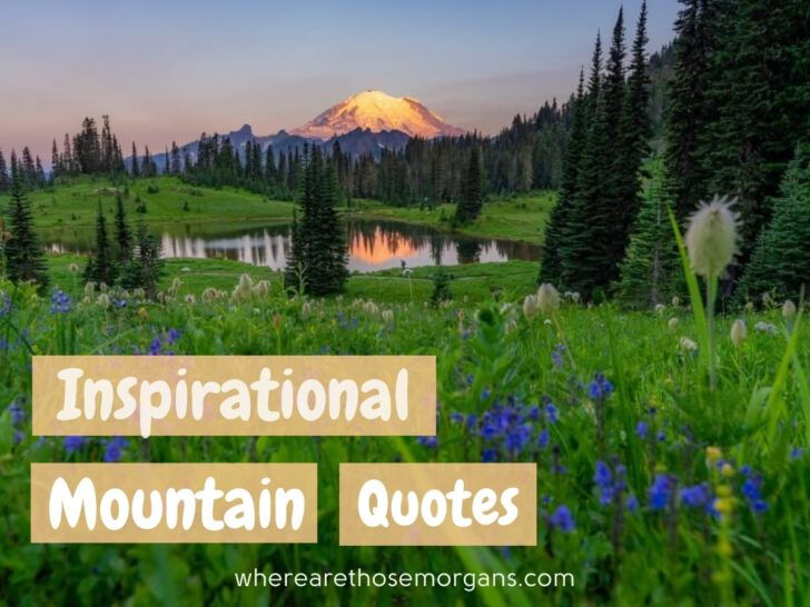 106 Motivational Mountain Quotes, Captions + Puns