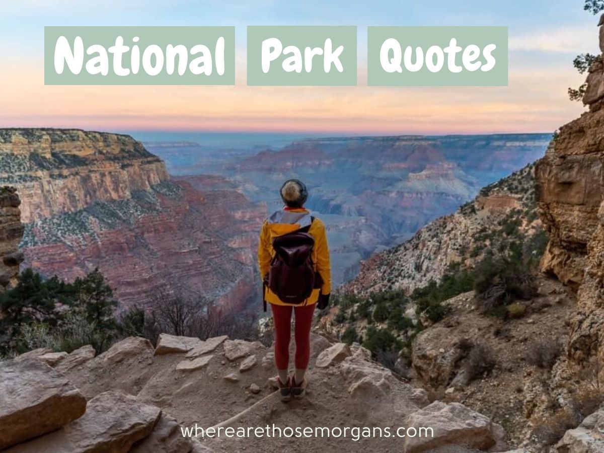 Where Are Those Morgans National Park Quotes